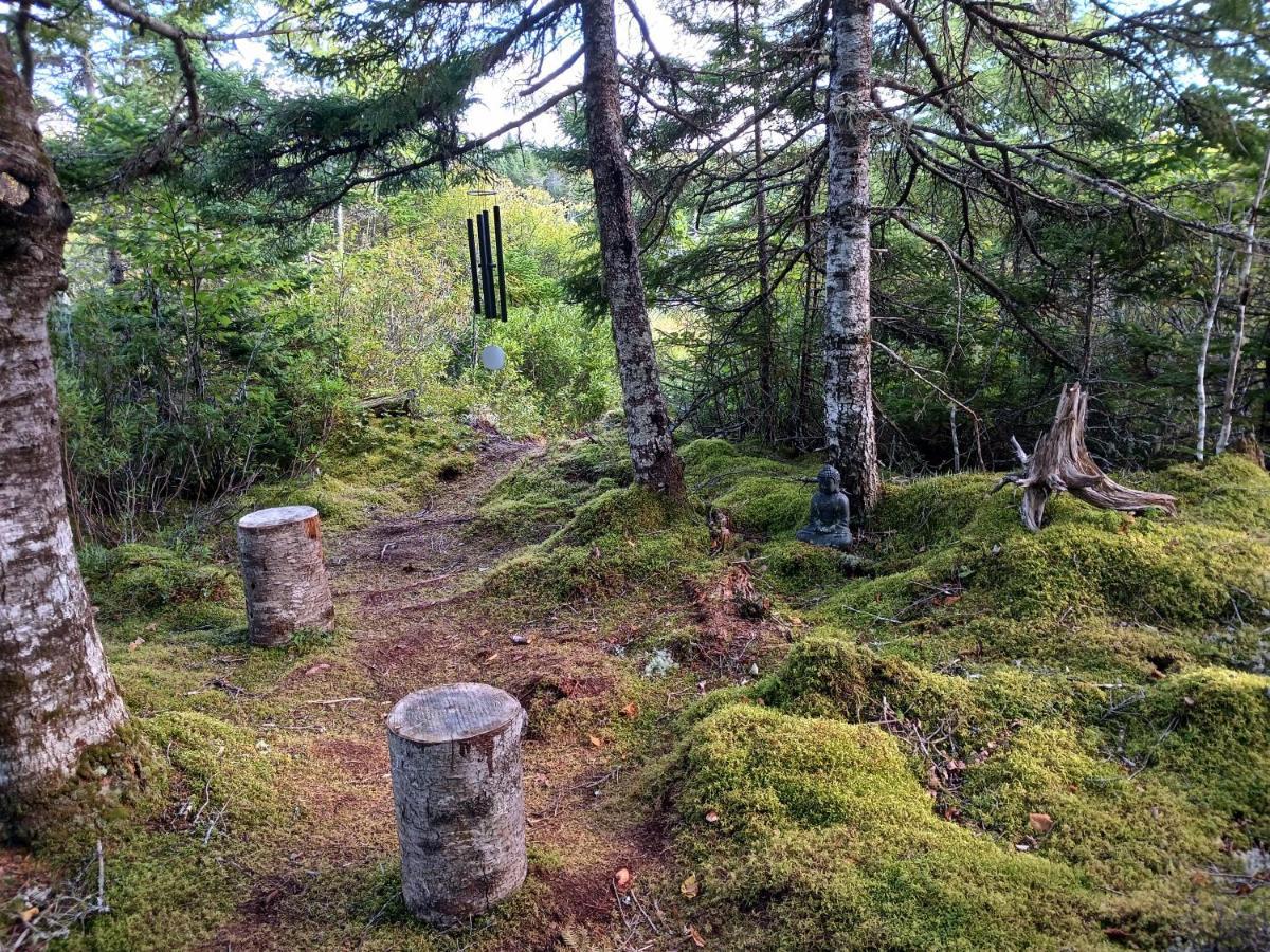 Fiddler'S Lake Escape Gabarus Eksteriør billede