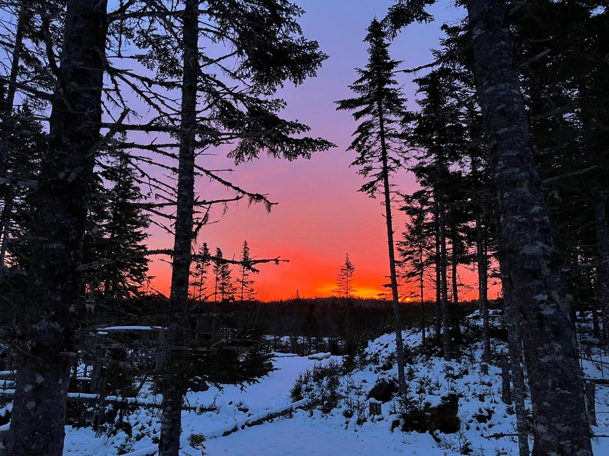 Fiddler'S Lake Escape Gabarus Eksteriør billede
